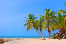 Key West Beach Break cruise excursion